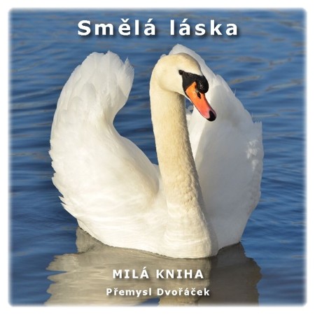 Smělá láska