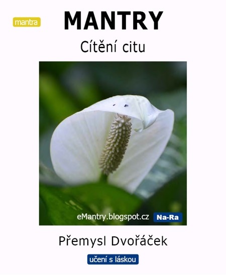 MANTRY Cítění citu