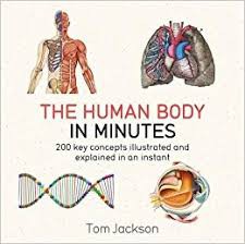 Human Body In Minutes