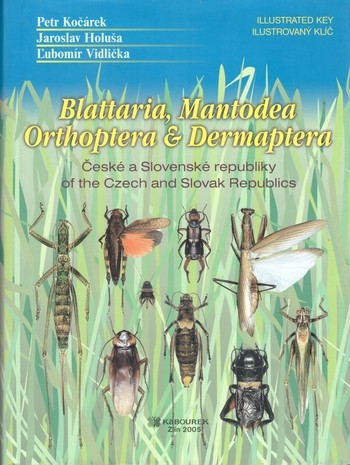 Blattaria, Mantodea, Orthoptera & Dermaptera of the Czech and Slovak Republics