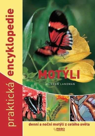 Motýli - denní a noční motýli z celého světa - praktická encyklopedie