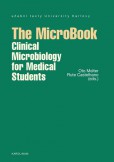 The MicroBook The MicroBook