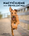 Nacvičujeme přivolání psa Nacvičujeme přivolání psa