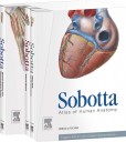 Sobotta Atlas of Human Anatomy 3 volumes