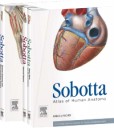 Sobotta Atlas of Human Anatomy Box with 3 vols. and 1 table booklet