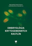 Embryológia krytosemenných rastlín Embryológia krytosemenných rastlín
