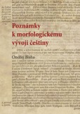 Poznámky k morfologickému vývoji češtiny Poznámky k morfologickému vývoji češtiny