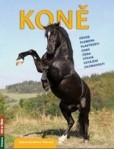 Koně Koně