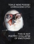 Tohle není poesie! Tohle není poesie!