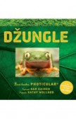 Džungle Džungle