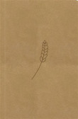 Bible21 – kapesní (honey) Bible21 – kapesní (honey)