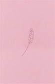 Bible21 – kapesní (Rosé) Bible21 – kapesní (Rosé)