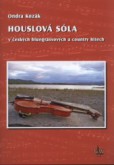 Houslová sóla + DVD Houslová sóla + DVD