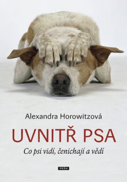 Uvnitř psa