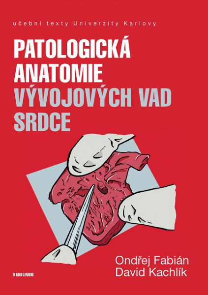 Patologická anatomie vývojových vad srdce