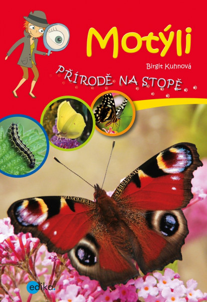 Motýli Motýli