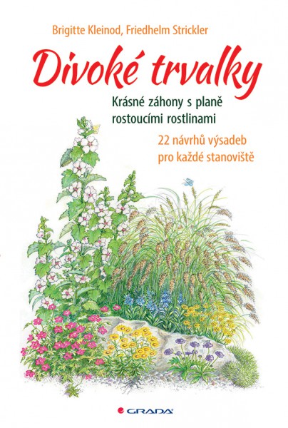 Divoké trvalky Divoké trvalky