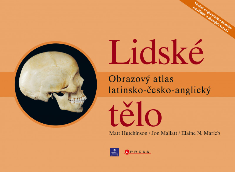 Lidské tělo Lidské tělo