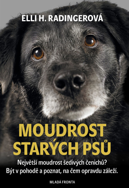 Moudrost starých psů Moudrost starých psů