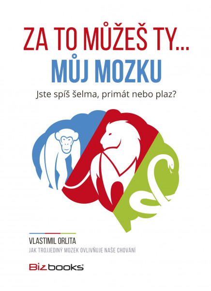 Za to můžeš ty... můj mozku Za to můžeš ty... můj mozku