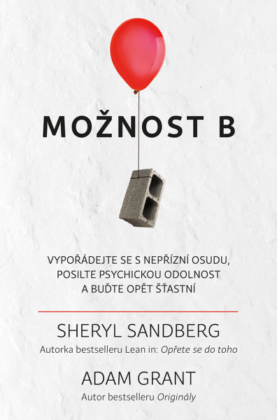Možnost B Možnost B