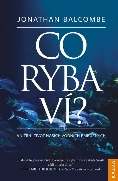 Co ryba ví? Co ryba ví?