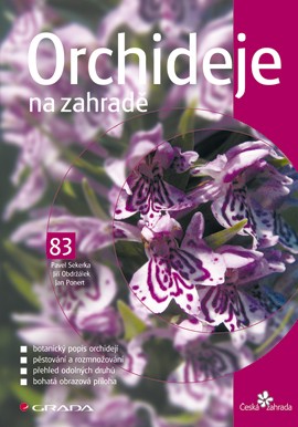 Orchideje na zahradě Orchideje na zahradě