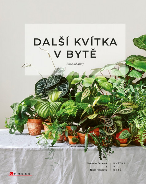 Další kvítka v bytě: Ruce od hlíny Další kvítka v bytě: Ruce od hlíny