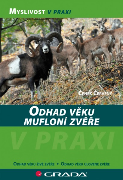 Odhad věku mufloní zvěře Odhad věku mufloní zvěře
