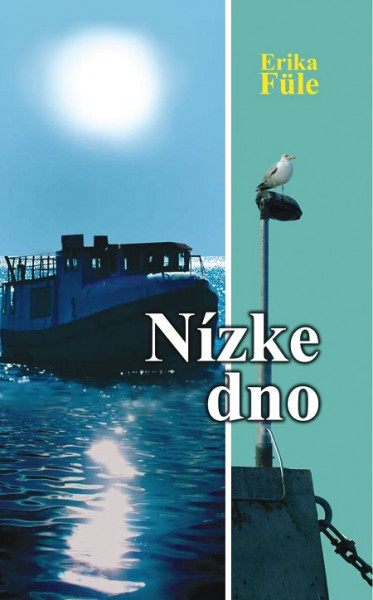 Nízke dno