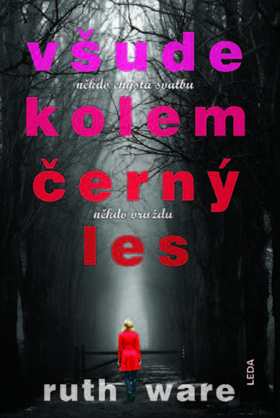 Všude kolem černý les