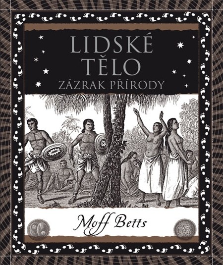 Lidské tělo Lidské tělo