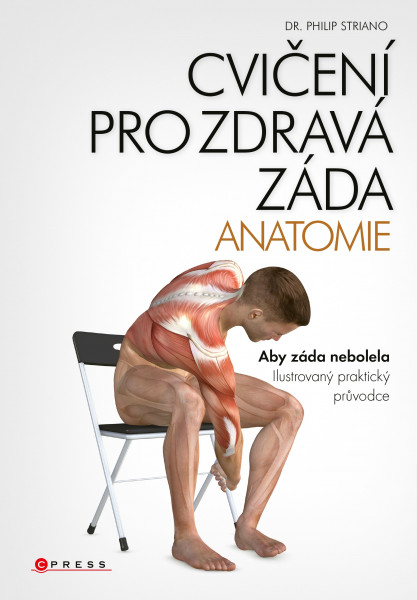Cvičení pro zdravá záda - anatomie Cvičení pro zdravá záda - anatomie