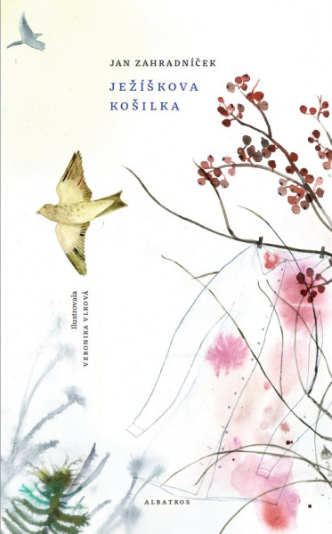 Ježíškova košilka Ježíškova košilka