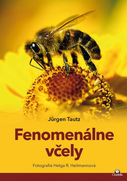 Fenomenálne včely Fenomenálne včely