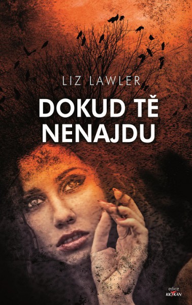Dokud tě nenajdu Dokud tě nenajdu
