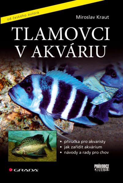 Tlamovci v akváriu Tlamovci v akváriu