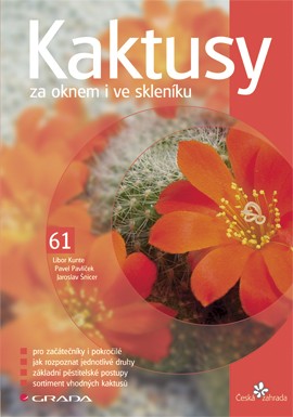 Kaktusy za oknem i ve skleníku Kaktusy za oknem i ve skleníku