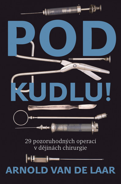 Pod kudlou