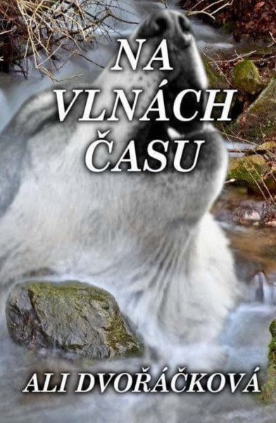 Na vlnách času