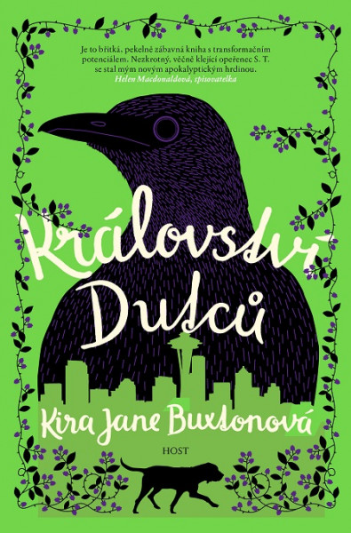 Království Dutců Království Dutců
