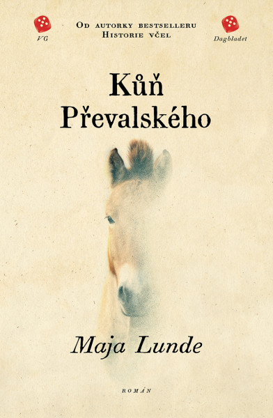 Kůň Převalského Kůň Převalského