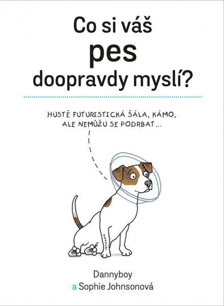 Co si váš pes doopravdy myslí Co si váš pes doopravdy myslí