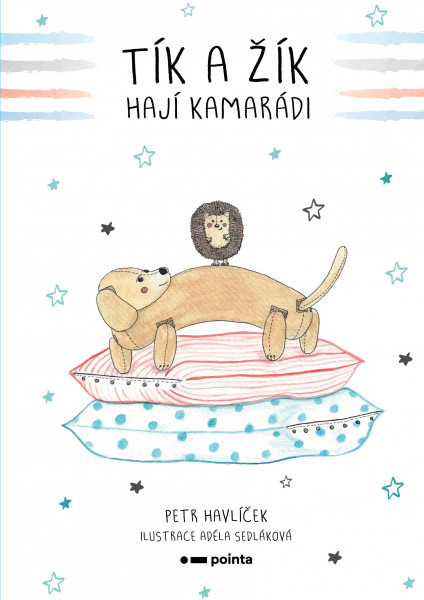Tík a Žík, hají kamarádi