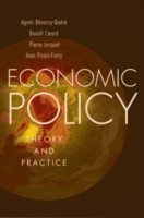 Economic Policy: Theory and Practice