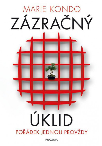 Zázračný úklid