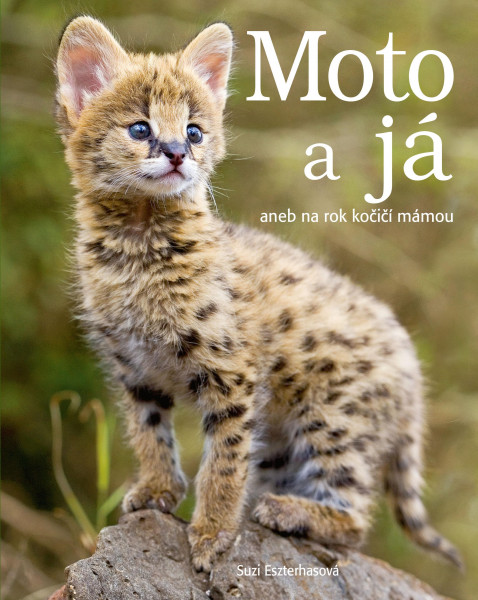 Moto a já Moto a já