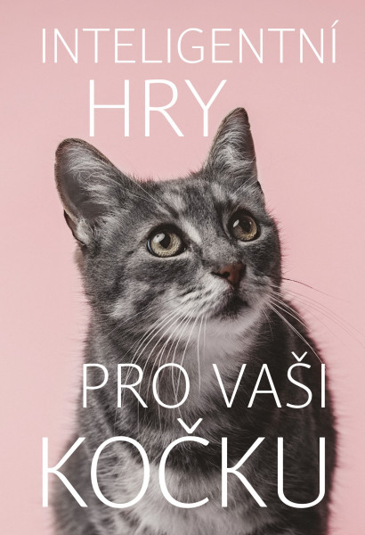 Inteligentní hry pro vaši kočku Inteligentní hry pro vaši kočku