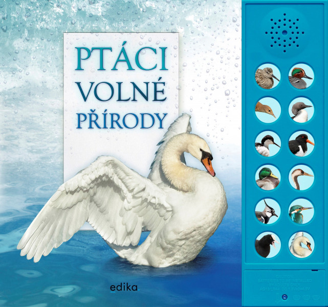 Ptáci volné přírody Ptáci volné přírody