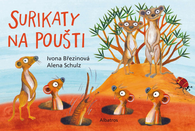 Surikaty na poušti Surikaty na poušti
